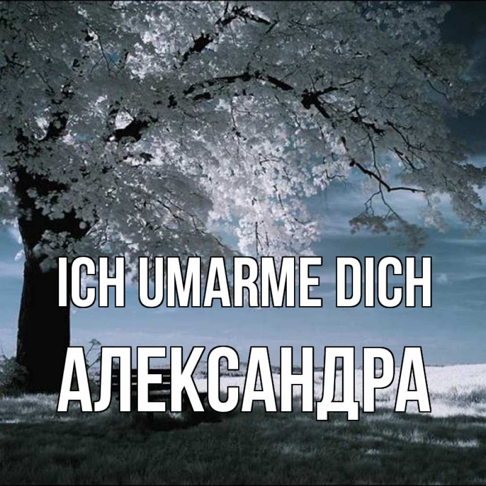 Открытка на каждый день с именем, Александра Ich umarme dich дерево Прикольная открытка с пожеланием онлайн скачать бесплатно 