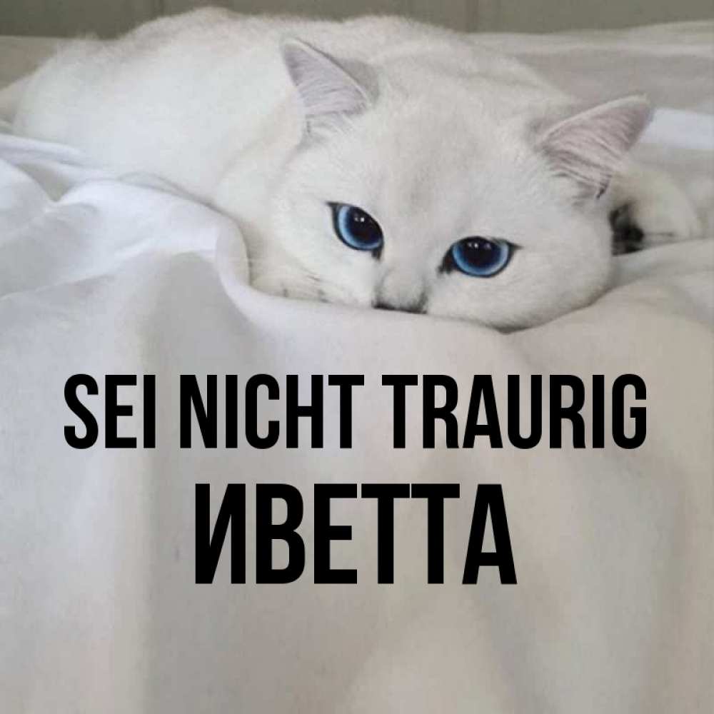 Открытка на каждый день с именем, Иветта Sei nicht traurig Голубоглазая кошка Прикольная открытка с пожеланием онлайн скачать бесплатно 