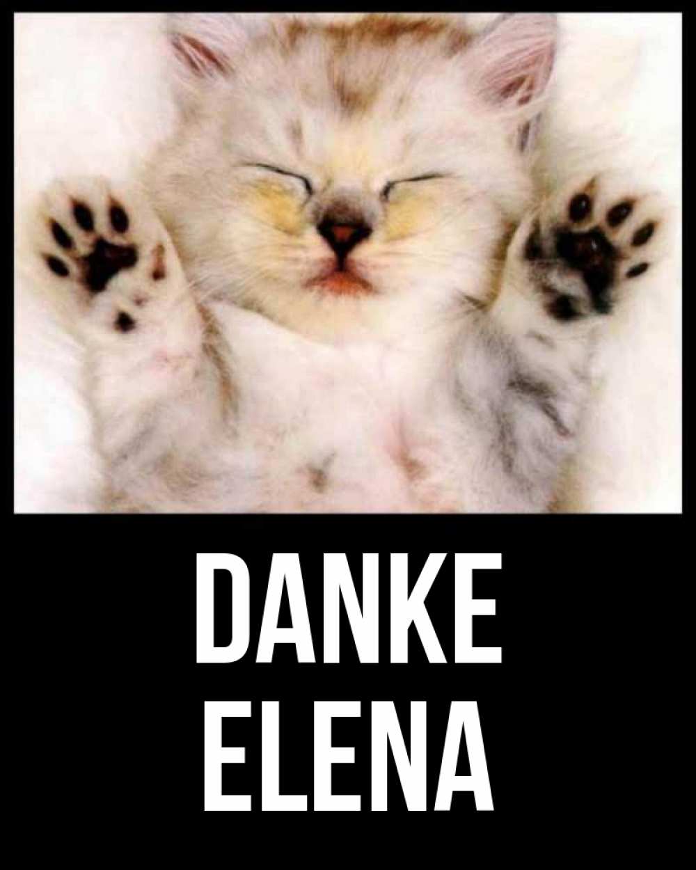 Открытка на каждый день с именем, Elena Danke маленький котенок Прикольная открытка с пожеланием онлайн скачать бесплатно 