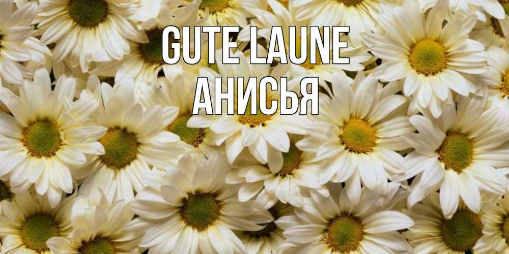 Открытка на каждый день с именем, Анисья Gute Laune крупные ромашки Прикольная открытка с пожеланием онлайн скачать бесплатно 