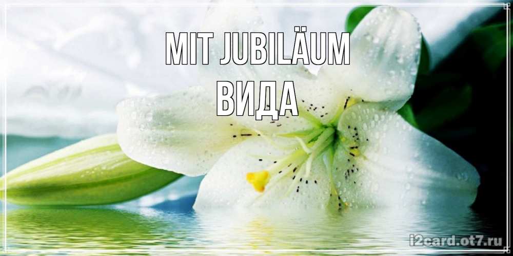 Открытка на каждый день с именем, Вида Mit Jubiläum лилия на открытке ко дню рождения Прикольная открытка с пожеланием онлайн скачать бесплатно 