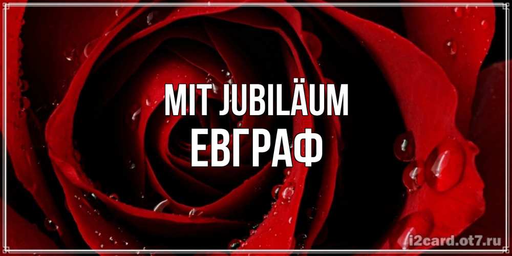 Открытка на каждый день с именем, Евграф Mit Jubiläum крупная бордовая роза Прикольная открытка с пожеланием онлайн скачать бесплатно 