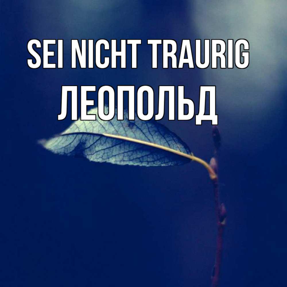 Открытка на каждый день с именем, Леопольд Sei nicht traurig растение Прикольная открытка с пожеланием онлайн скачать бесплатно 