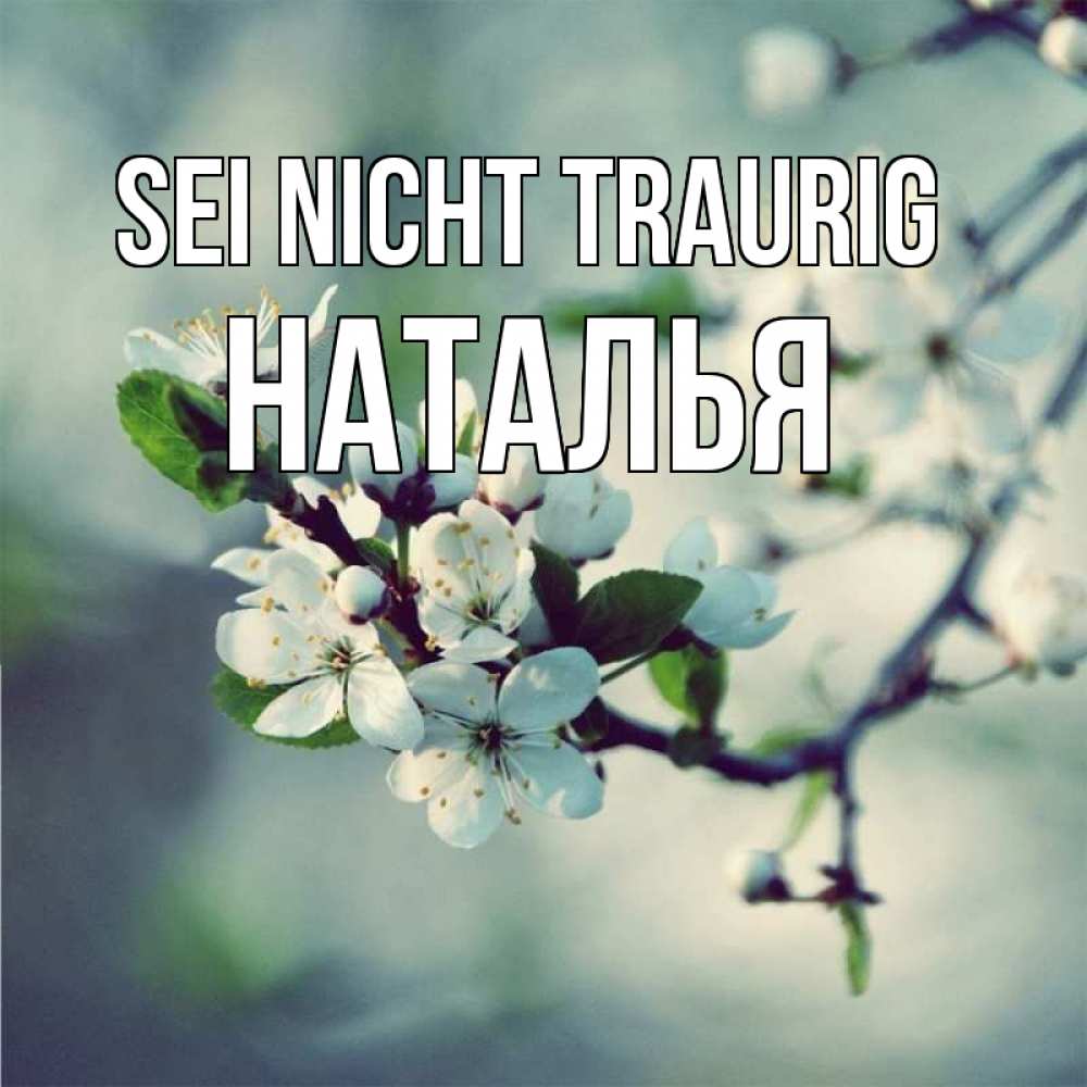 Открытка на каждый день с именем, Наталья Sei nicht traurig яблоня в цвету 1 Прикольная открытка с пожеланием онлайн скачать бесплатно 