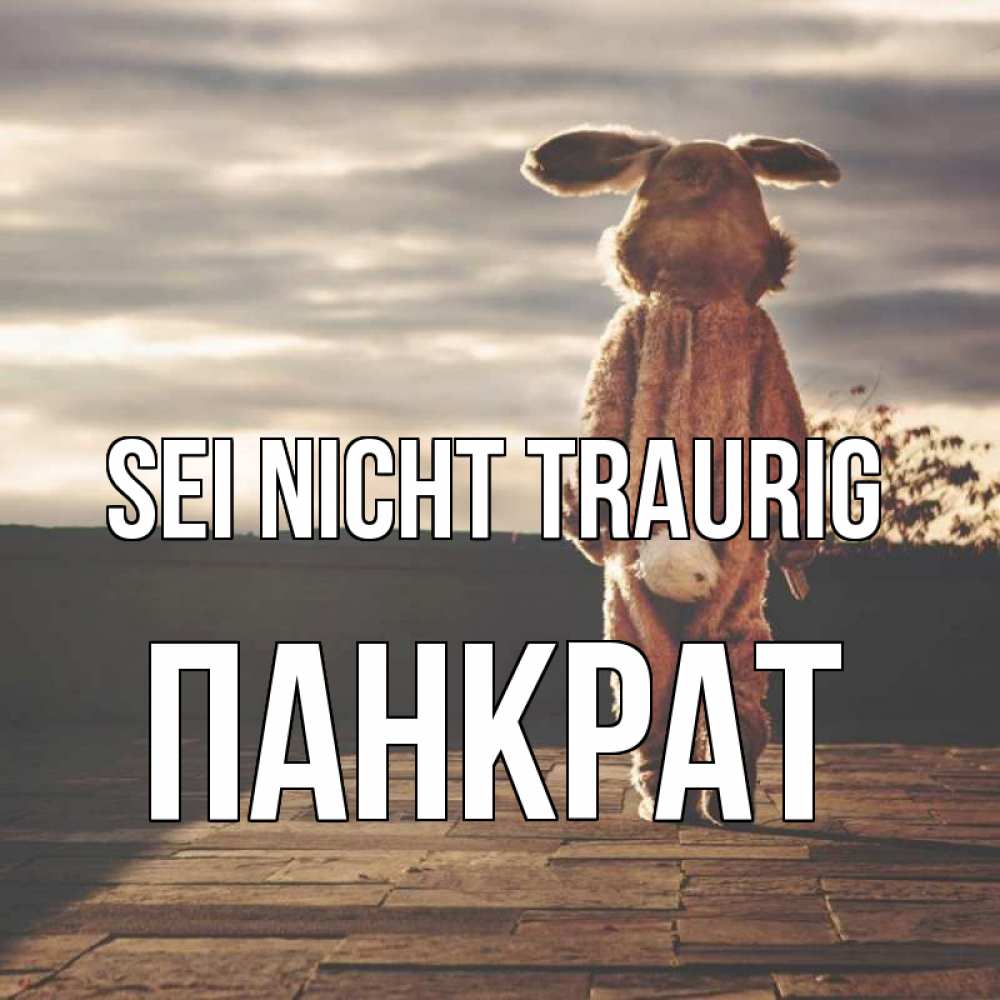 Открытка на каждый день с именем, Панкрат Sei nicht traurig со спины Прикольная открытка с пожеланием онлайн скачать бесплатно 