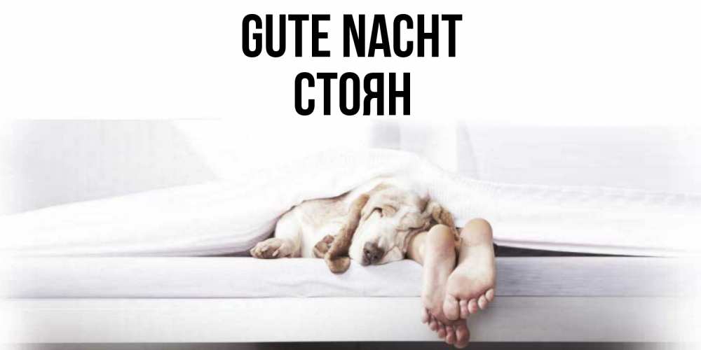 Открытка на каждый день с именем, Стоян Gute Nacht кровать с собакой пожелание сладких снов и спокойной ночи Прикольная открытка с пожеланием онлайн скачать бесплатно 
