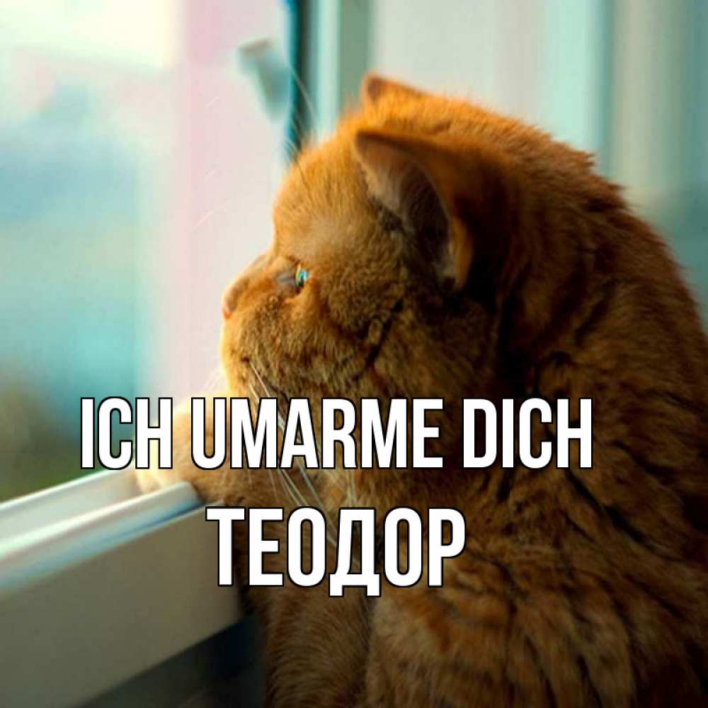 Открытка на каждый день с именем, Теодор Ich umarme dich большой огромный рыжий котяра Прикольная открытка с пожеланием онлайн скачать бесплатно 