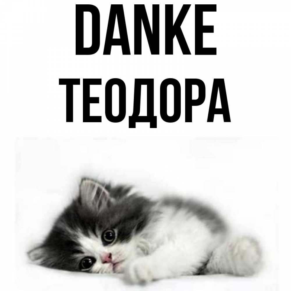 Открытка на каждый день с именем, Теодора Danke черный и белый кот Прикольная открытка с пожеланием онлайн скачать бесплатно 