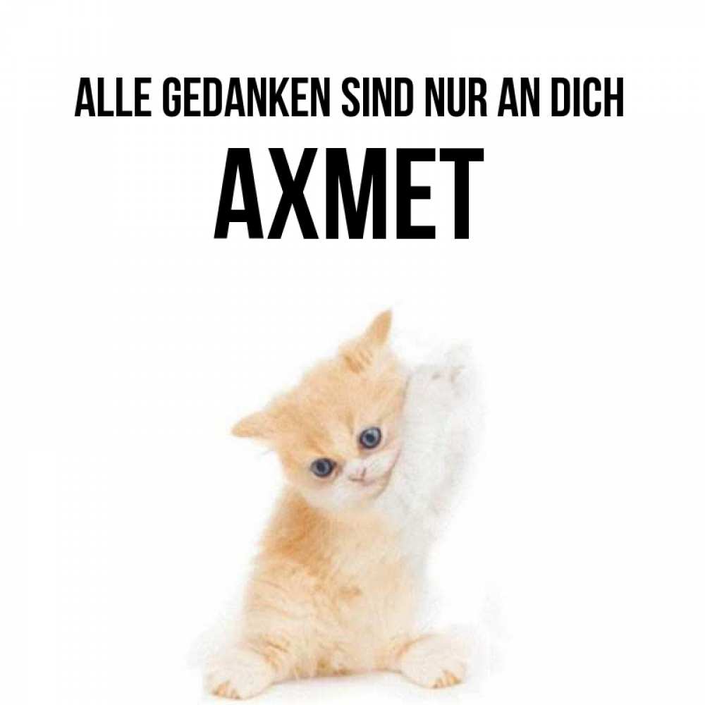 Открытка на каждый день с именем, Ахмет Alle Gedanken sind nur an dich зверушки и милота Прикольная открытка с пожеланием онлайн скачать бесплатно 
