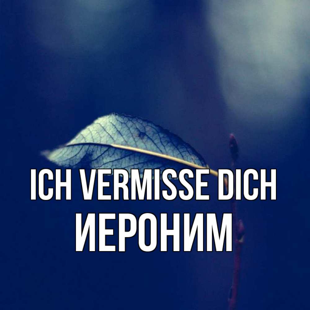 Открытка на каждый день с именем, Иероним Ich vermisse dich одна ветка 1 Прикольная открытка с пожеланием онлайн скачать бесплатно 