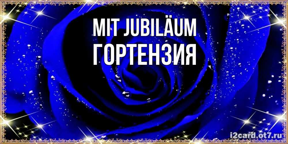 Открытка на каждый день с именем, Гортензия Mit Jubiläum голубые цветы в росе Прикольная открытка с пожеланием онлайн скачать бесплатно 