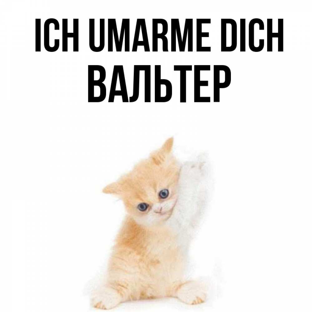 Открытка на каждый день с именем, Вальтер Ich umarme dich я хочу очень скорее обнимаешек Прикольная открытка с пожеланием онлайн скачать бесплатно 