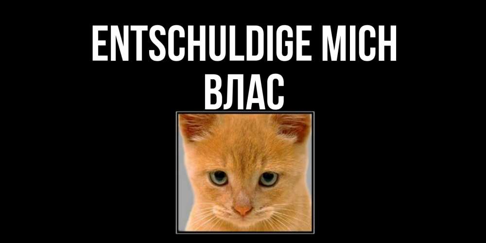 Открытка на каждый день с именем, Влас Entschuldige mich рыжий грустный кот просит прощения Прикольная открытка с пожеланием онлайн скачать бесплатно 