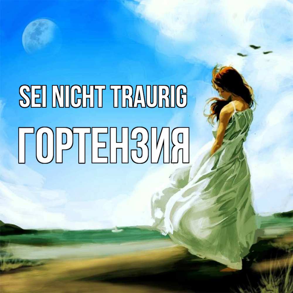 Открытка на каждый день с именем, Гортензия Sei nicht traurig голубое небо и луна Прикольная открытка с пожеланием онлайн скачать бесплатно 