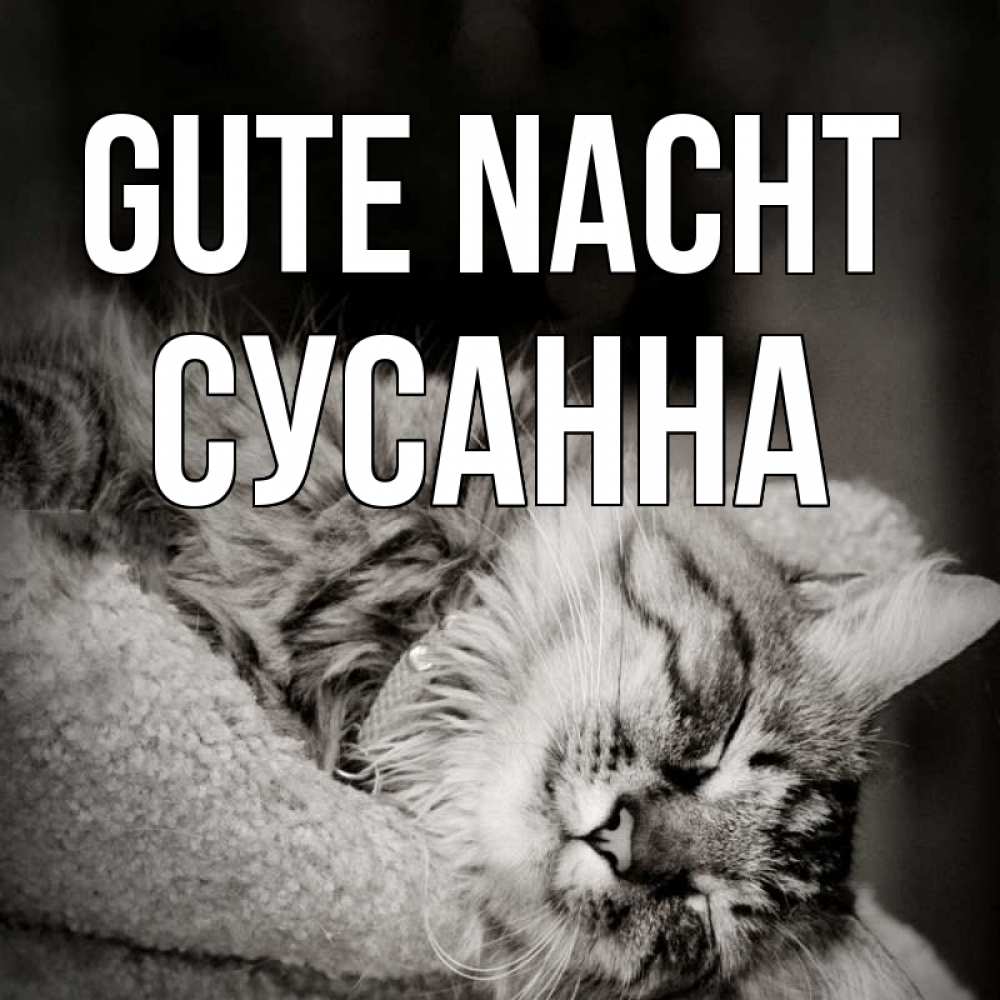Открытка на каждый день с именем, Сусанна Gute Nacht котярик пушистый Прикольная открытка с пожеланием онлайн скачать бесплатно 