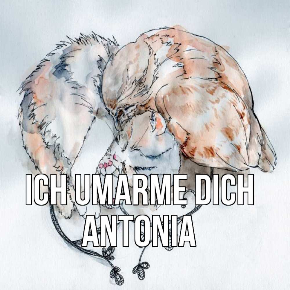Открытка на каждый день с именем, Antonia Ich umarme dich можно быть вместе даже когда очень разные Прикольная открытка с пожеланием онлайн скачать бесплатно 