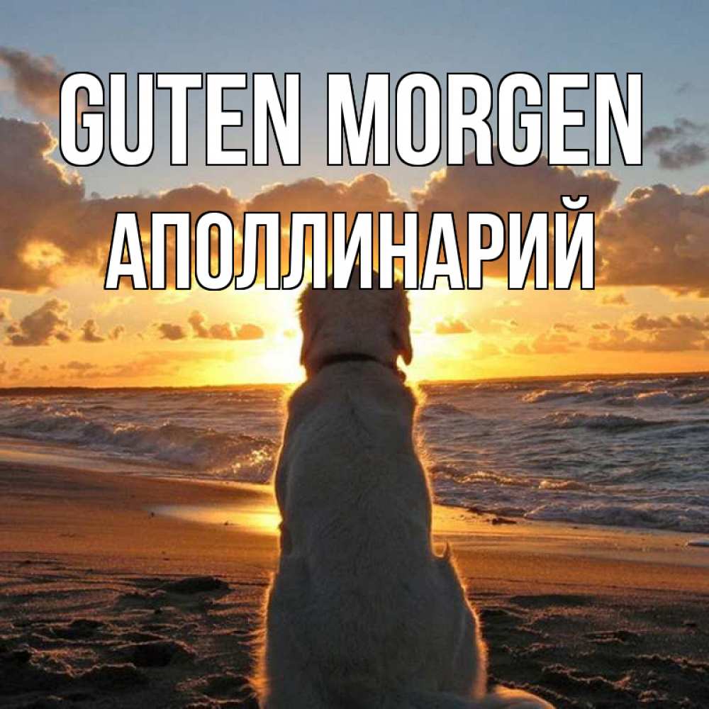 Открытка на каждый день с именем, Аполлинарий Guten Morgen восход солнца Прикольная открытка с пожеланием онлайн скачать бесплатно 
