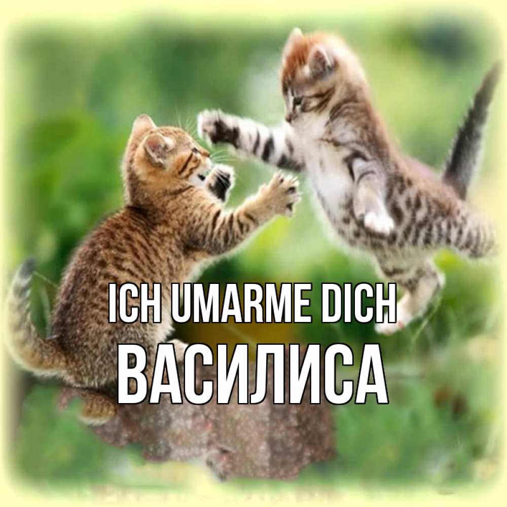 Открытка на каждый день с именем, Василиса Ich umarme dich игры котят Прикольная открытка с пожеланием онлайн скачать бесплатно 