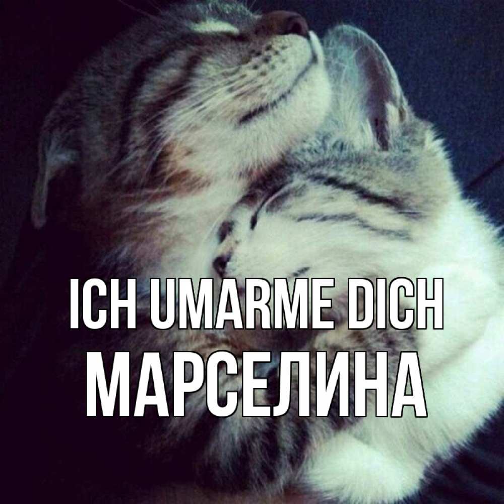 Открытка на каждый день с именем, Марселина Ich umarme dich полосатики Прикольная открытка с пожеланием онлайн скачать бесплатно 