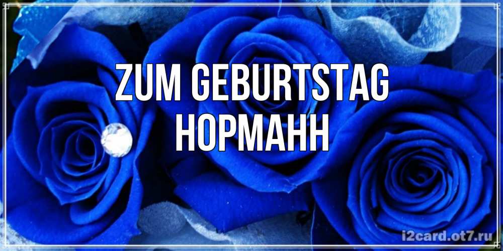 Открытка на каждый день с именем, Норманн Zum Geburtstag синие розы в росе Прикольная открытка с пожеланием онлайн скачать бесплатно 