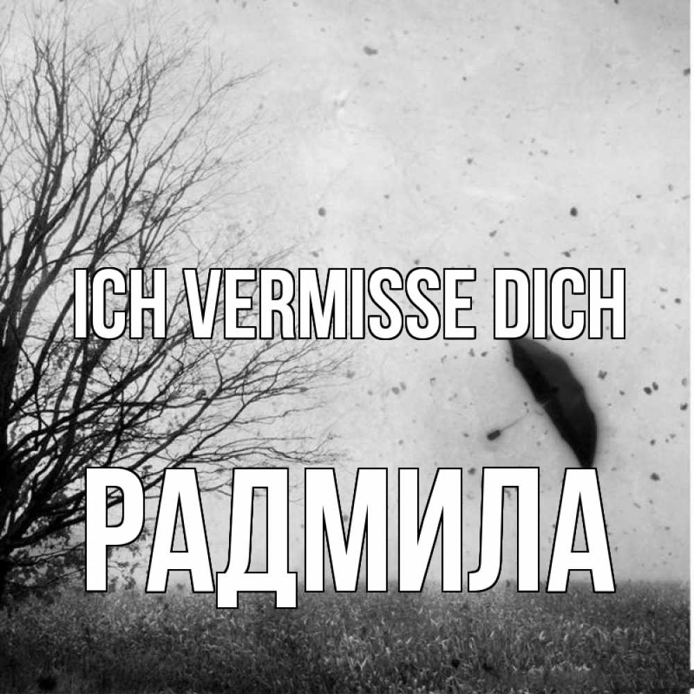 Открытка на каждый день с именем, Радмила Ich vermisse dich зонт летит Прикольная открытка с пожеланием онлайн скачать бесплатно 