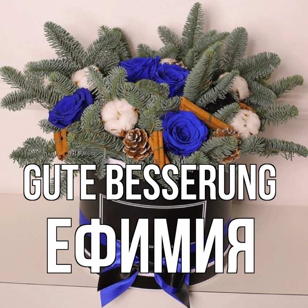 Открытка на каждый день с именем, Ефимия Gute Besserung короче кто то загрузил эти шишки Прикольная открытка с пожеланием онлайн скачать бесплатно 