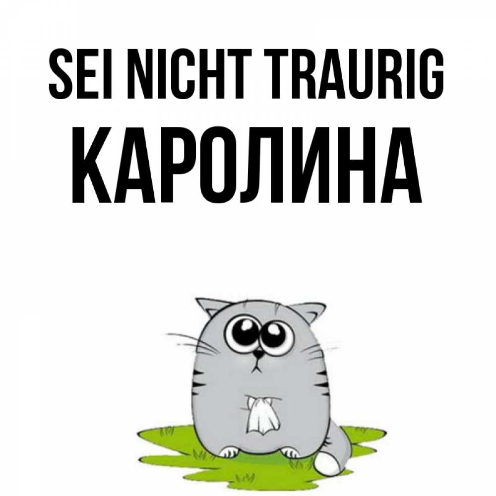 Открытка на каждый день с именем, Каролина Sei nicht traurig грустный котяра Прикольная открытка с пожеланием онлайн скачать бесплатно 