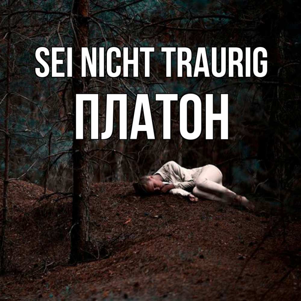 Открытка на каждый день с именем, Платон Sei nicht traurig лес Прикольная открытка с пожеланием онлайн скачать бесплатно 