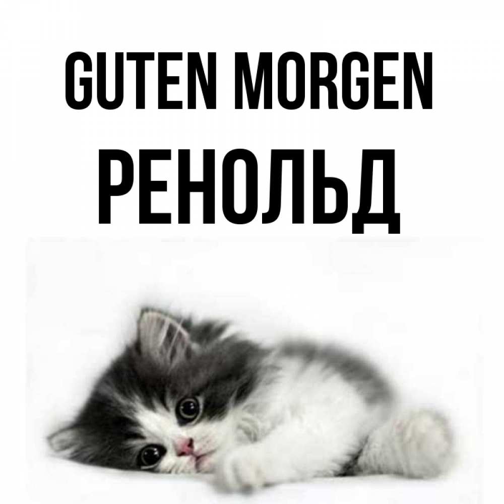 Открытка на каждый день с именем, Ренольд Guten Morgen кот лапки Прикольная открытка с пожеланием онлайн скачать бесплатно 