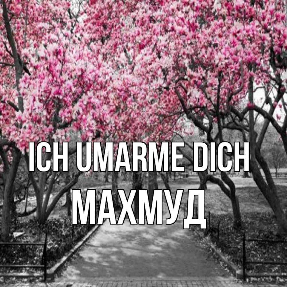 Открытка на каждый день с именем, Махмуд Ich umarme dich обработанное фото Прикольная открытка с пожеланием онлайн скачать бесплатно 