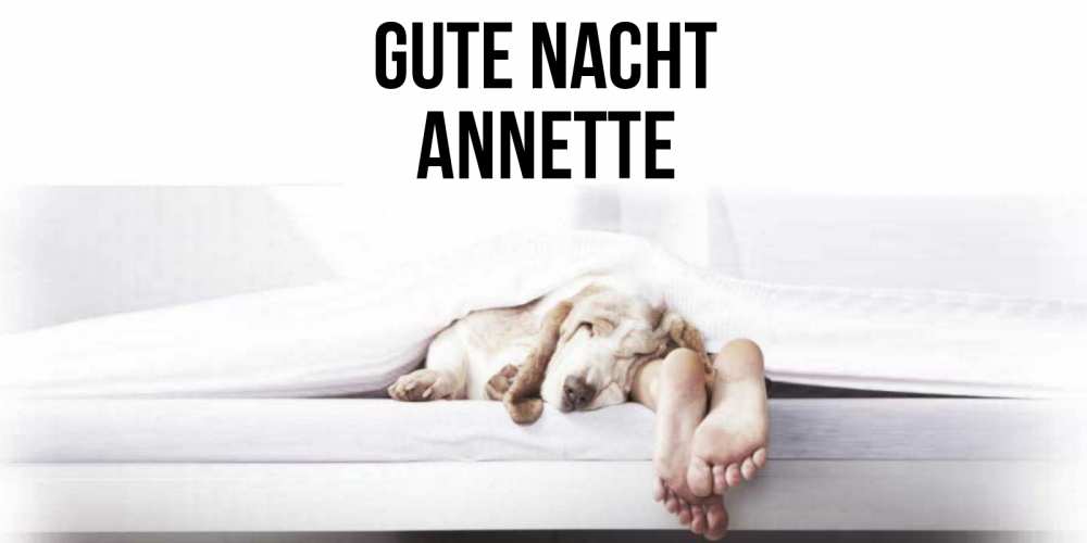 Открытка на каждый день с именем, Annette Gute Nacht кровать с собакой пожелание сладких снов и спокойной ночи Прикольная открытка с пожеланием онлайн скачать бесплатно 