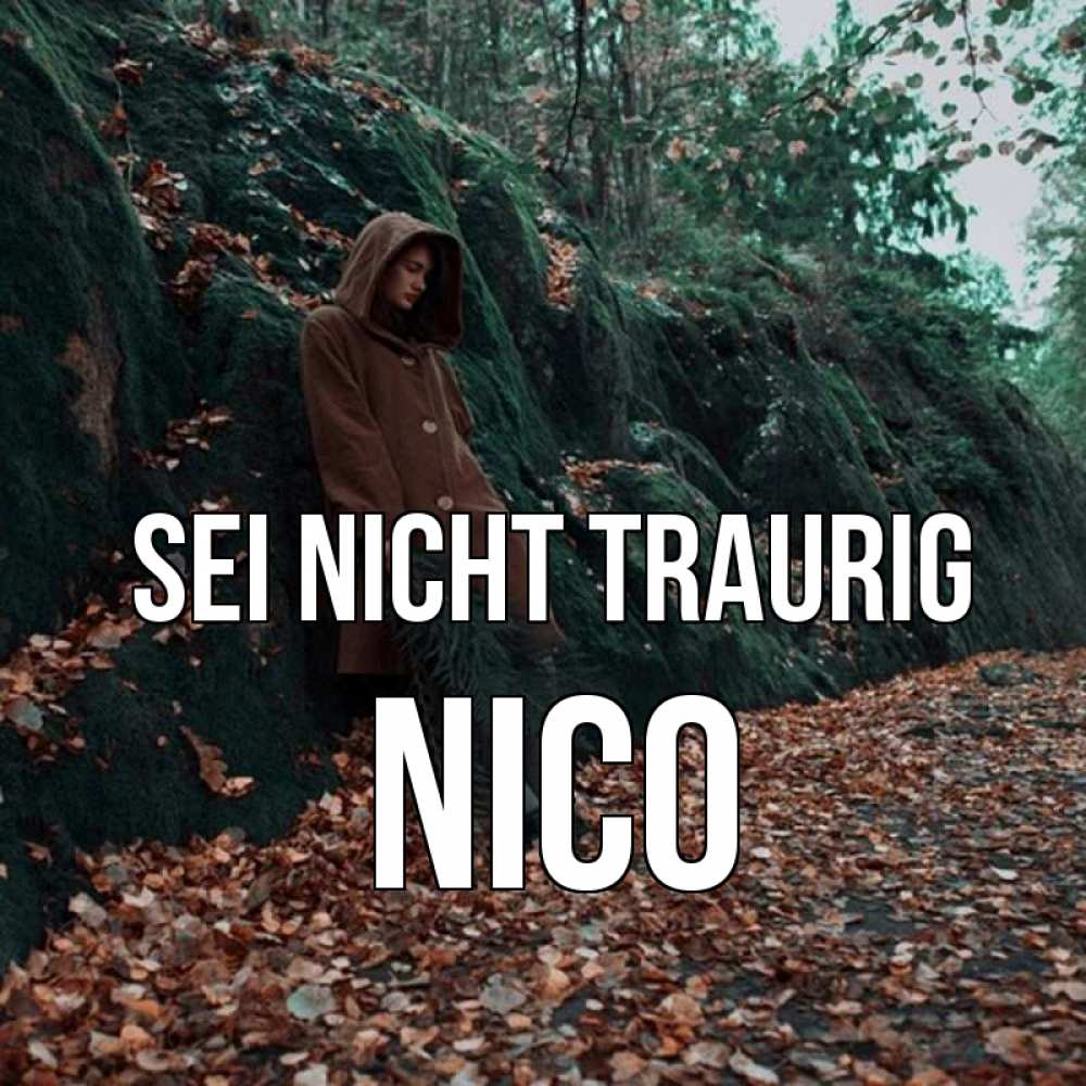 Открытка на каждый день с именем, Nico Sei nicht traurig осенний лес Прикольная открытка с пожеланием онлайн скачать бесплатно 