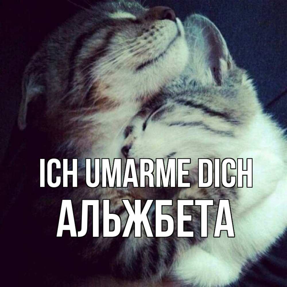 Открытка на каждый день с именем, Альжбета Ich umarme dich полосатики Прикольная открытка с пожеланием онлайн скачать бесплатно 