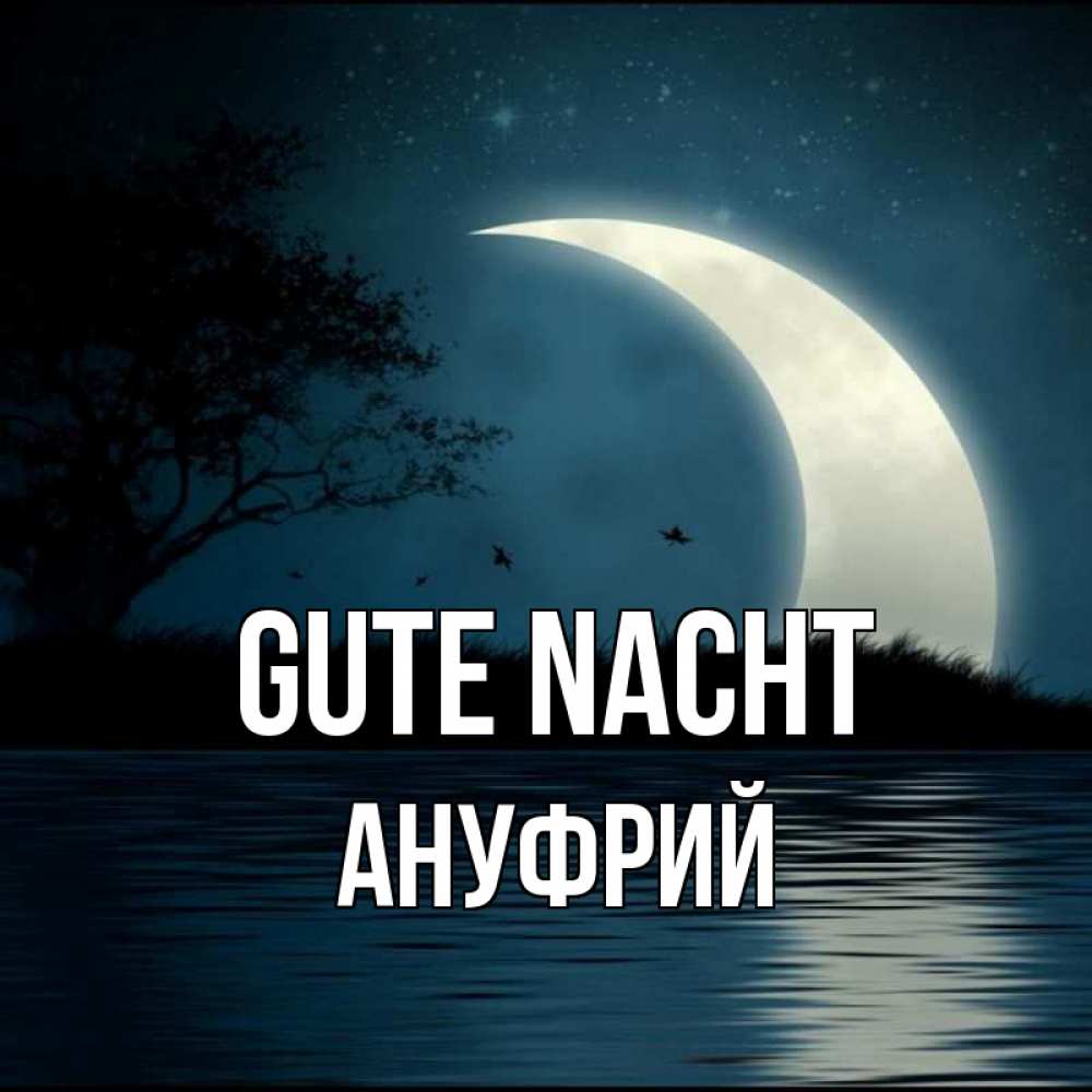 Открытка на каждый день с именем, Ануфрий Gute Nacht вода Прикольная открытка с пожеланием онлайн скачать бесплатно 