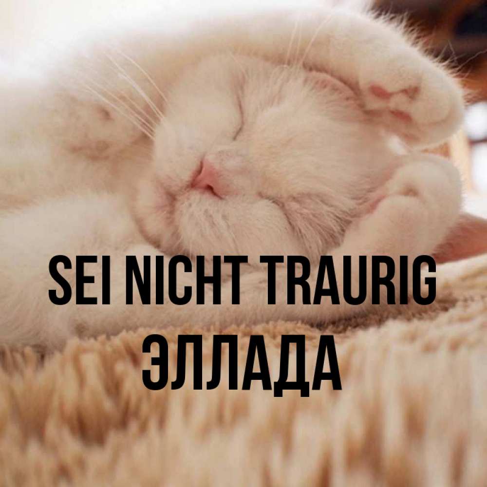 Открытка на каждый день с именем, Эллада Sei nicht traurig Котенок спит Прикольная открытка с пожеланием онлайн скачать бесплатно 