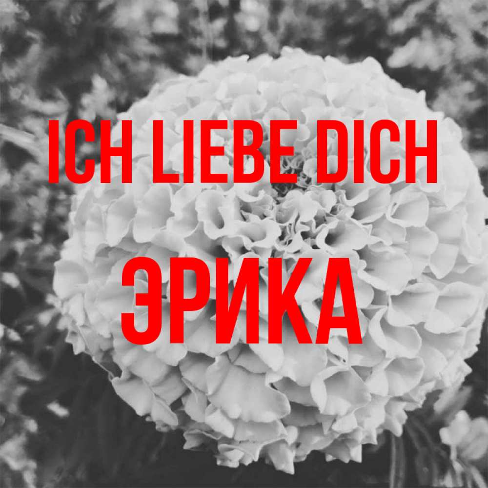 Открытка на каждый день с именем, Эрика Ich liebe dich подпись Прикольная открытка с пожеланием онлайн скачать бесплатно 