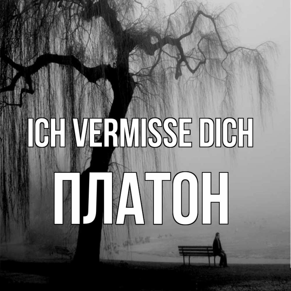 Открытка на каждый день с именем, Платон Ich vermisse dich лавочка под деревом я жду тебя Прикольная открытка с пожеланием онлайн скачать бесплатно 