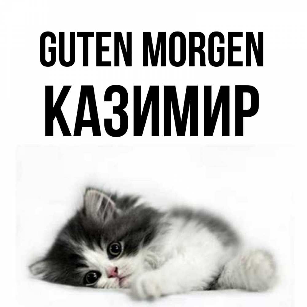 Открытка на каждый день с именем, Казимир Guten Morgen кот лапки Прикольная открытка с пожеланием онлайн скачать бесплатно 
