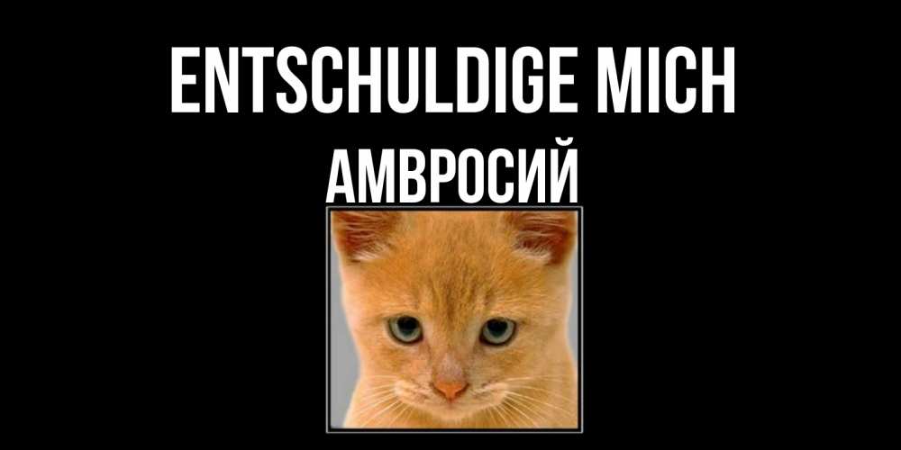 Открытка на каждый день с именем, Амвросий Entschuldige mich рыжий грустный кот просит прощения Прикольная открытка с пожеланием онлайн скачать бесплатно 