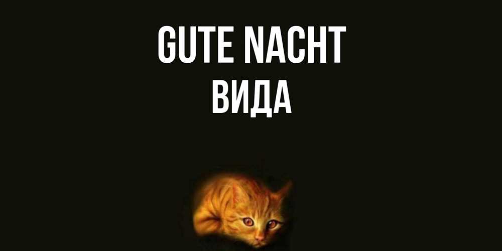 Открытка на каждый день с именем, Вида Gute Nacht кот Прикольная открытка с пожеланием онлайн скачать бесплатно 