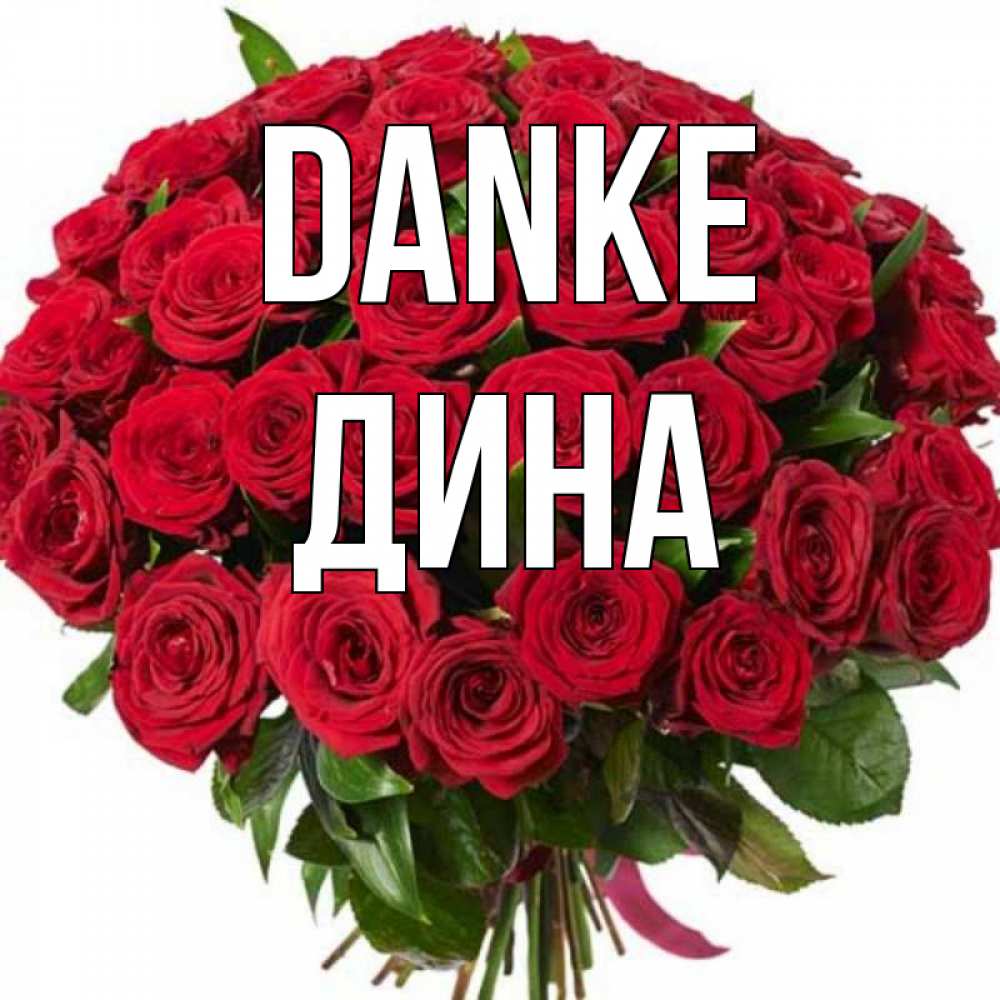 Открытка на каждый день с именем, Дина Danke букет красных роз Прикольная открытка с пожеланием онлайн скачать бесплатно 