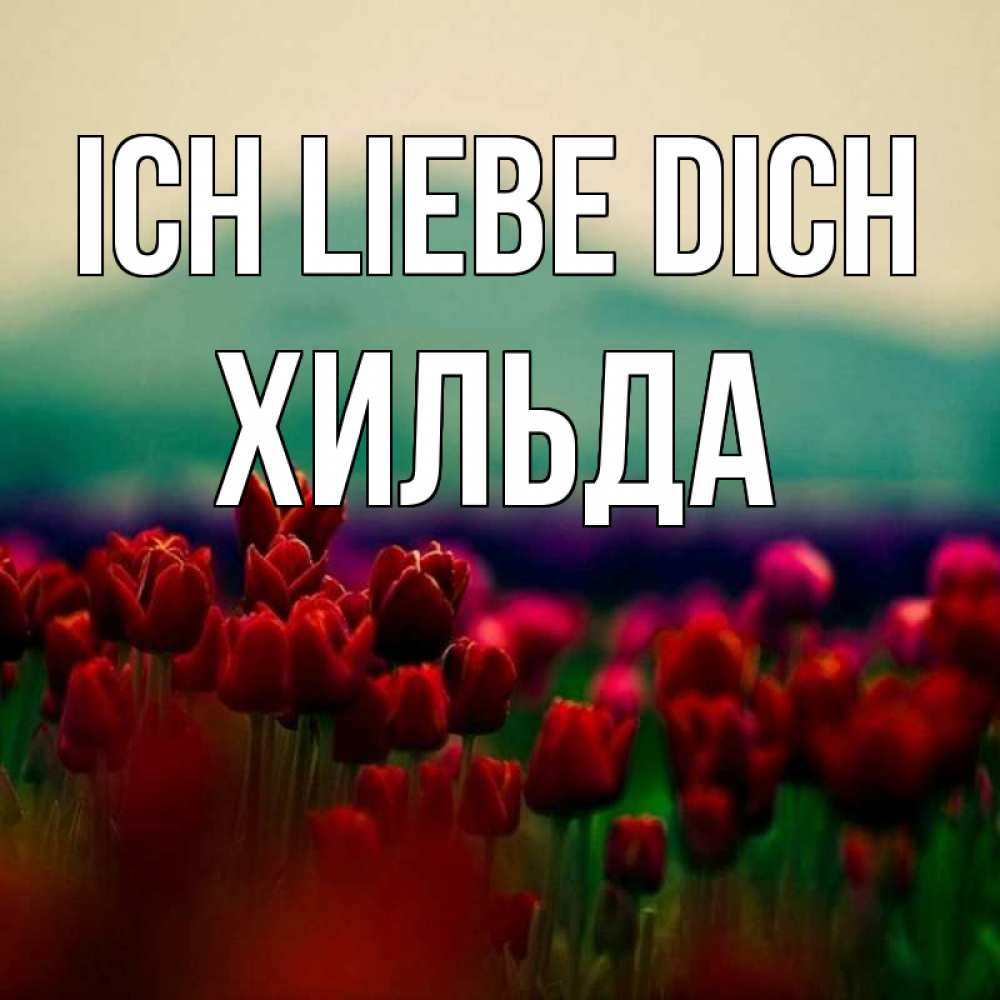 Открытка на каждый день с именем, Хильда Ich liebe dich тюльпаны 4 Прикольная открытка с пожеланием онлайн скачать бесплатно 