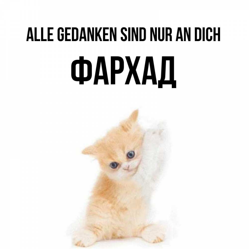 Открытка на каждый день с именем, Фархад Alle Gedanken sind nur an dich зверушки и милота Прикольная открытка с пожеланием онлайн скачать бесплатно 