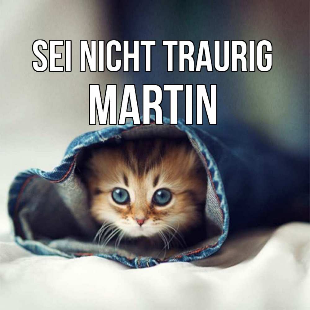 Открытка на каждый день с именем, Martin Sei nicht traurig кот в одежде Прикольная открытка с пожеланием онлайн скачать бесплатно 