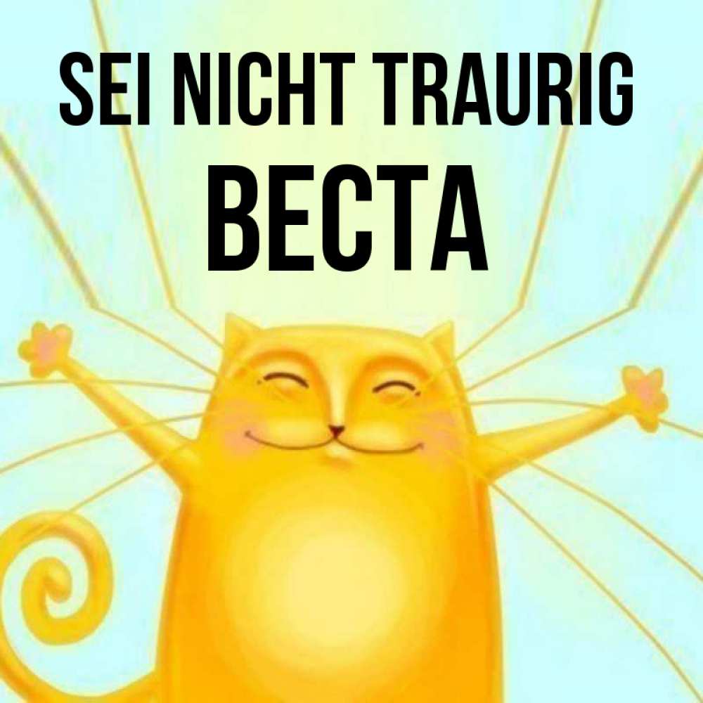 Открытка на каждый день с именем, Веста Sei nicht traurig обнимашки усатые Прикольная открытка с пожеланием онлайн скачать бесплатно 