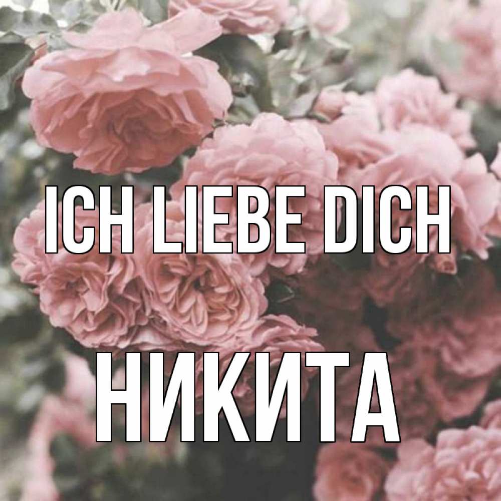 Открытка на каждый день с именем, Никита Ich liebe dich розы 3 Прикольная открытка с пожеланием онлайн скачать бесплатно 