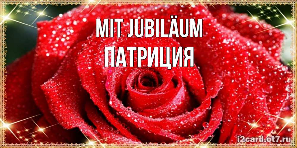 Открытка на каждый день с именем, Патриция Mit Jubiläum роса и роза. открытка с красивой розой Прикольная открытка с пожеланием онлайн скачать бесплатно 