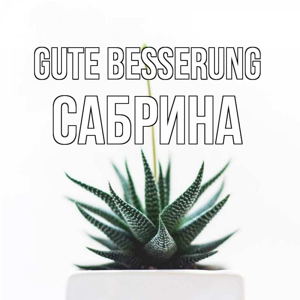Открытка на каждый день с именем, Сабрина Gute Besserung короче это непонятная колючка Прикольная открытка с пожеланием онлайн скачать бесплатно 