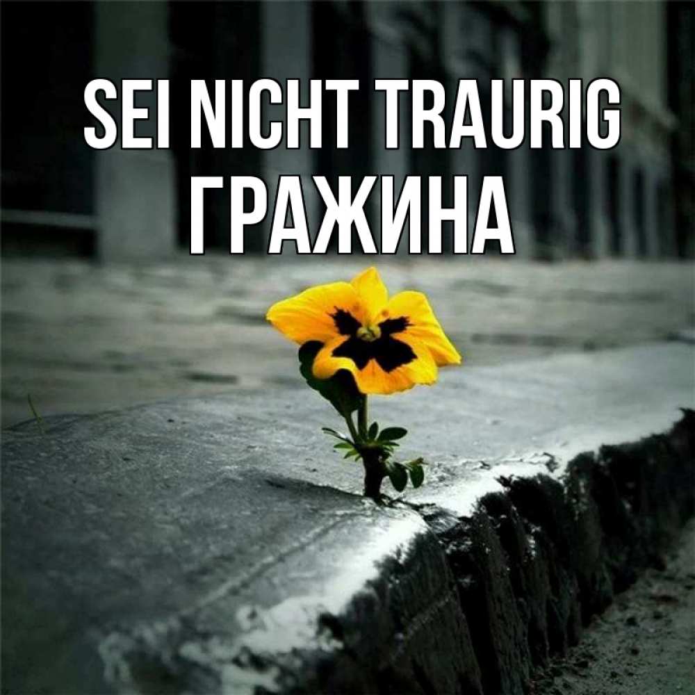 Открытка на каждый день с именем, Гражина Sei nicht traurig не сдавайся Прикольная открытка с пожеланием онлайн скачать бесплатно 