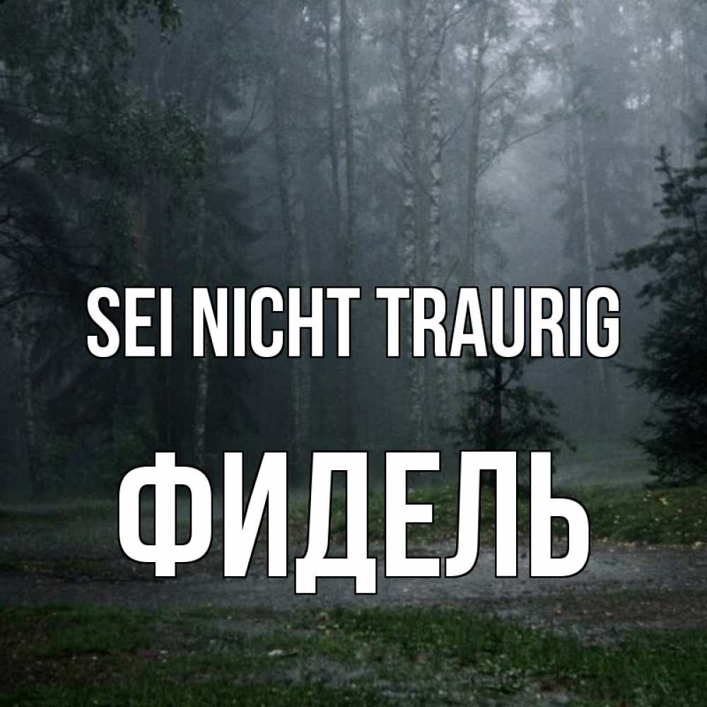 Открытка на каждый день с именем, Фидель Sei nicht traurig осень Прикольная открытка с пожеланием онлайн скачать бесплатно 
